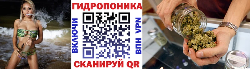 Наркотические вещества Грозный Конопля  Меф мяу мяу  СК  Амфетамин  Кокаин  ГАШИШ 