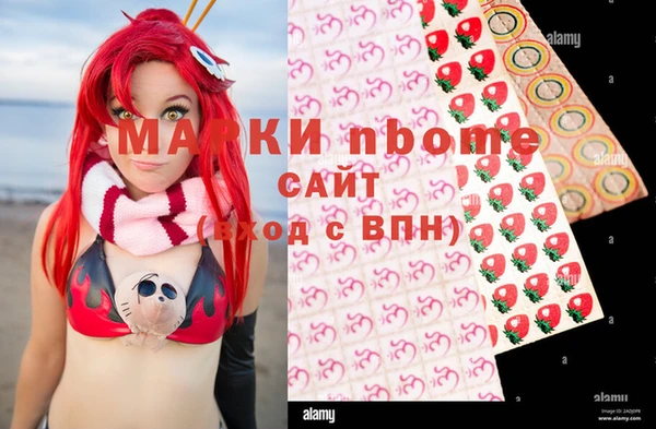гашик Новозыбков