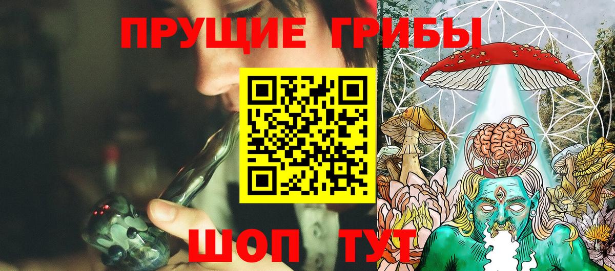 Псилоцибиновые грибы мицелий Грозный